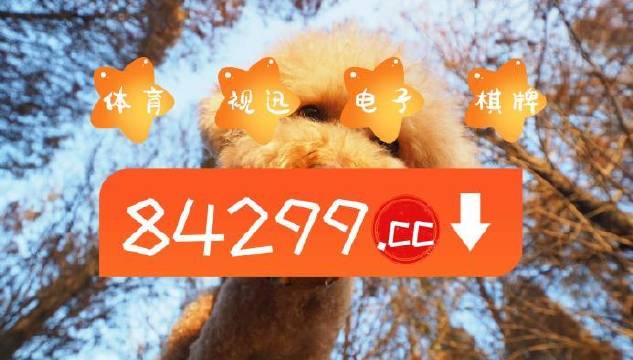 今期必中一肖一碼白小姐，揭秘彩票背后的秘密與策略，揭秘彩票背后的秘密與策略，白小姐今期必中一肖一碼解析