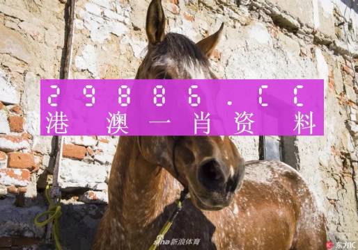 王中王資料一門肖中，深度解析與探索，王中王資料一門肖詳解，深度解析與探索