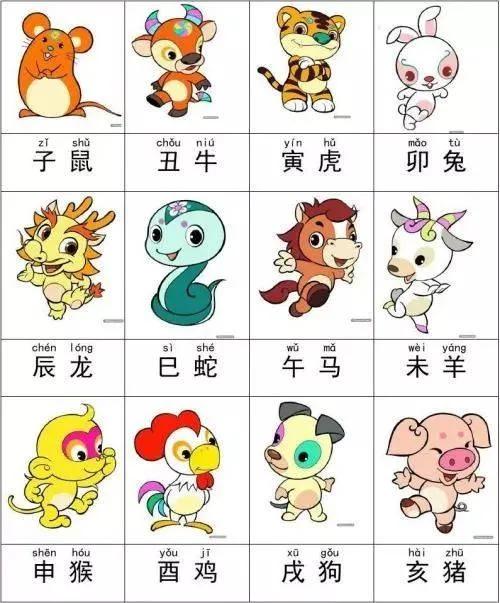 一肖有哪幾個生肖，生肖一肖包含哪些生肖