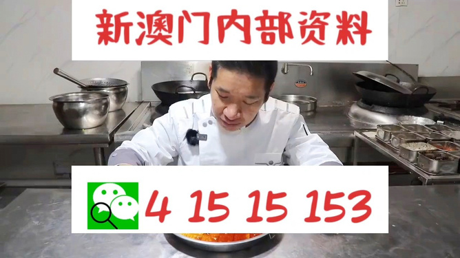 管家婆一肖資料大全，深度解析與探索，管家婆一肖資料深度解析與探索大全