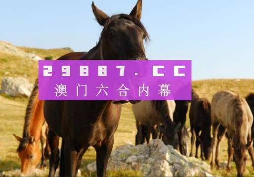 管家婆必開(kāi)一肖一碼，澳門(mén)精準(zhǔn)分析與預(yù)測(cè)，管家婆必開(kāi)一肖一碼，澳門(mén)精準(zhǔn)分析與預(yù)測(cè)揭秘