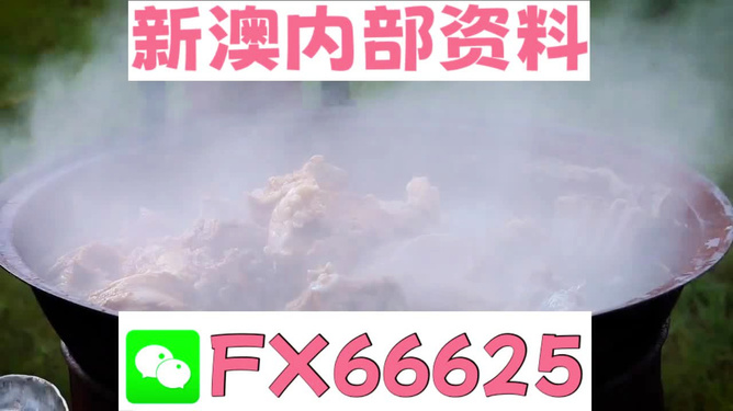新澳全年免費(fèi)資料大全，一站式獲取優(yōu)質(zhì)資源指南，新澳全年優(yōu)質(zhì)資源免費(fèi)獲取指南