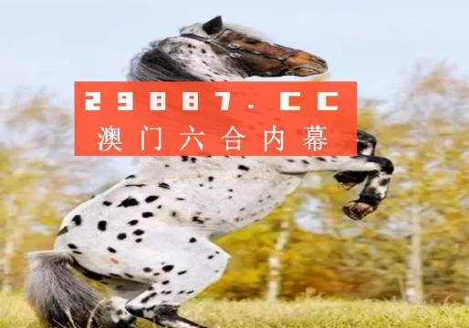 探索澳彩歷史開獎結果，回顧與預測（2023年），回顧與預測，澳彩歷史開獎結果探索（2023年）