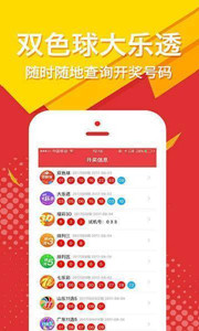 王中王四肖選一肖期期，揭秘彩票背后的秘密策略，揭秘彩票背后的秘密策略，王中王四肖選一肖期期之秘