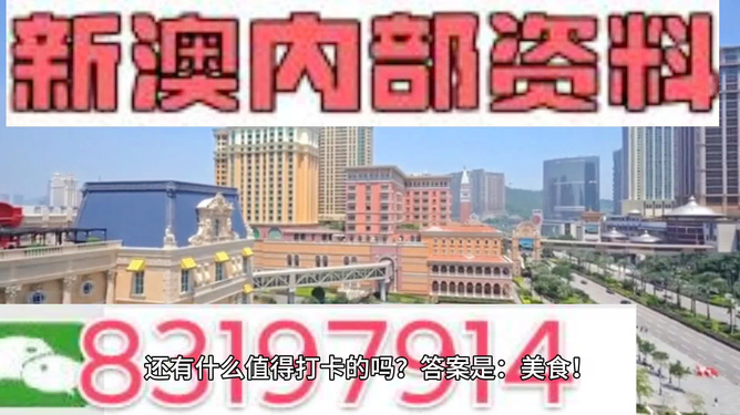 澳門(mén)免費(fèi)精準(zhǔn)資料，探索204年的秘密與機(jī)遇，澳門(mén)204年秘密與機(jī)遇探索，免費(fèi)精準(zhǔn)資料揭秘