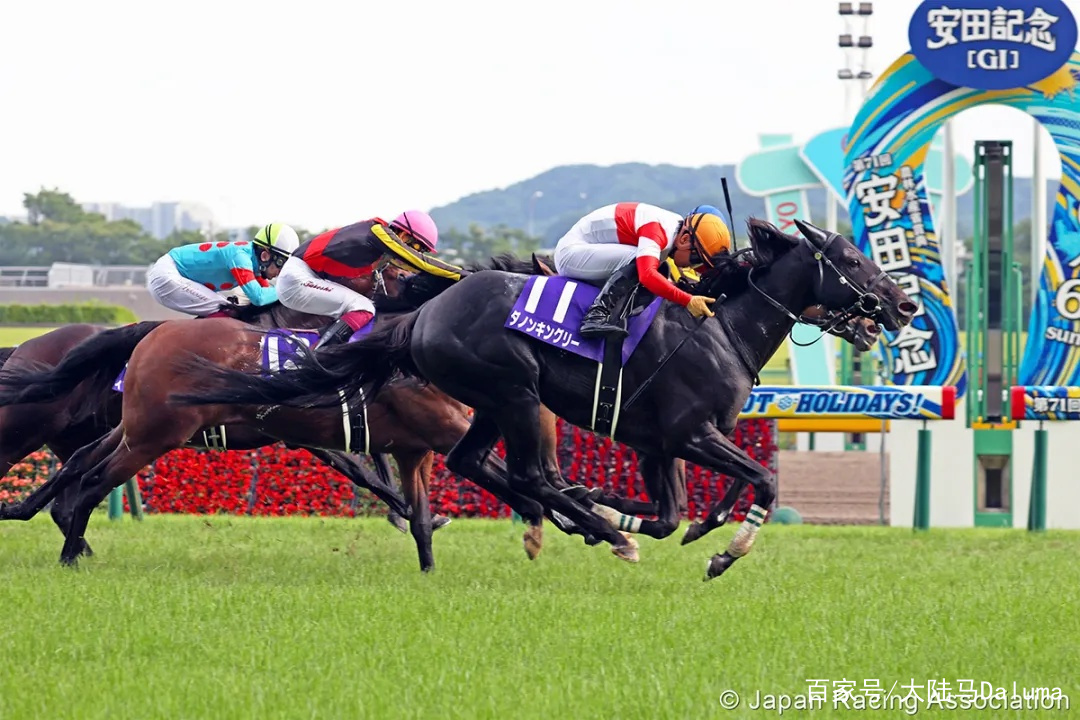 香港王中王與一馬中特肖的獨(dú)特魅力，深度解析與探索，香港王中王與一馬中特肖的獨(dú)特魅力，深度探索與解析