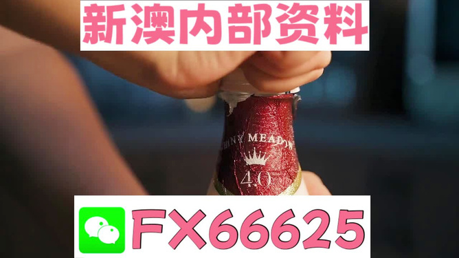 新澳門一碼一碼，揭秘精準(zhǔn)預(yù)測(cè)的秘密與真相，揭秘澳門一碼一碼精準(zhǔn)預(yù)測(cè)的秘密與真相