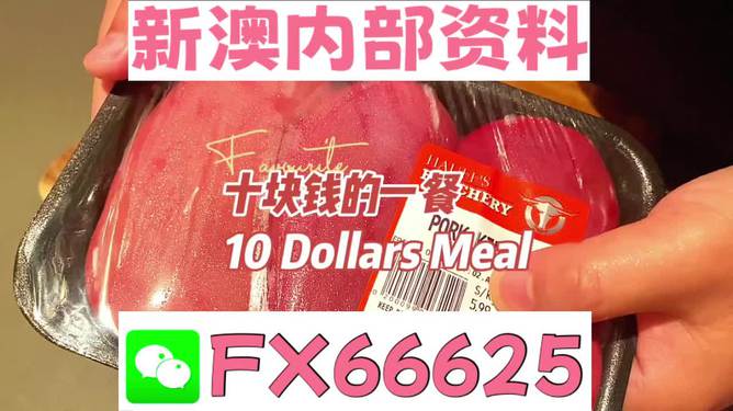 揭秘2025新澳精準(zhǔn)資料免費(fèi)大全——一站式獲取最新資源，揭秘2025新澳精準(zhǔn)資料免費(fèi)大全，最新資源一站式獲取