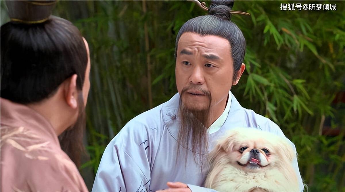 揭秘劉伯溫四不象一肖的神秘面紗——探尋背后的傳奇故事，揭秘劉伯溫四不象一肖背后的傳奇故事，神秘面紗下的神秘傳說