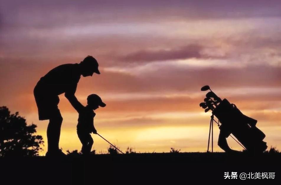 森林高手王中王與神秘生肖——深度解讀背后的故事與秘密，森林高手王中王與神秘生肖，故事背后的深度解讀與秘密探尋