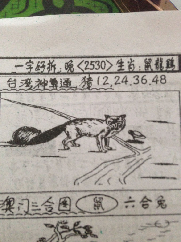 揭秘生肖奧秘，看圖猜一生肖劉伯溫的傳奇故事，揭秘生肖奧秘，劉伯溫傳奇故事中的生肖之謎探索