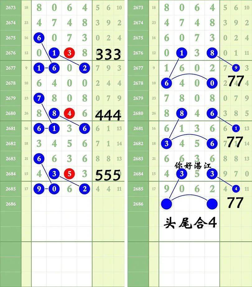 一肖三碼王中王絕密，揭秘背后的秘密與策略洞察，揭秘一肖三碼王中王絕密策略與背后秘密