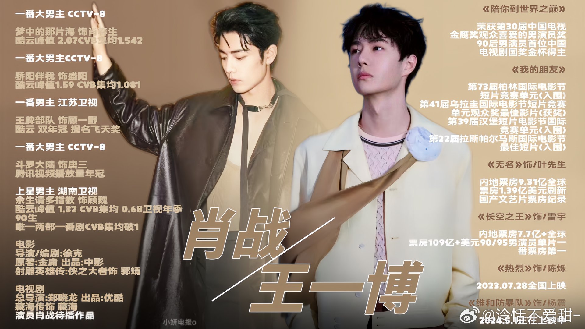 王中王一肖中特全年資料解析與SEO優(yōu)化策略，王中王一肖中特全年資料解析與SEO策略詳解