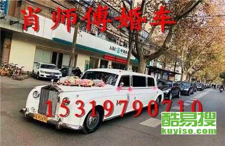 王中王車(chē)奪平特一肖免費(fèi)——深度解析與探索，王中王車(chē)奪平特一肖，深度解析與免費(fèi)探索