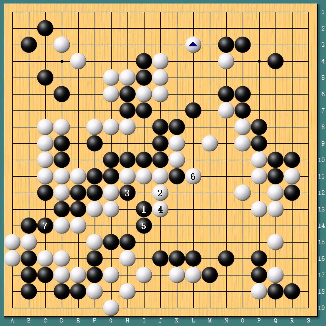 王中王四肖一碼資料論壇，探索與解析，王中王四肖一碼資料論壇，深度探索與解析