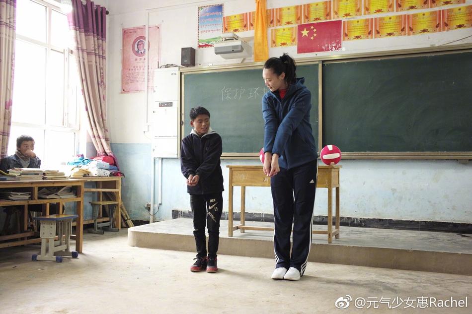 王中王平特一肖一大公開，深度解析與探索，王中王平特一肖公開，深度解析與探索揭秘