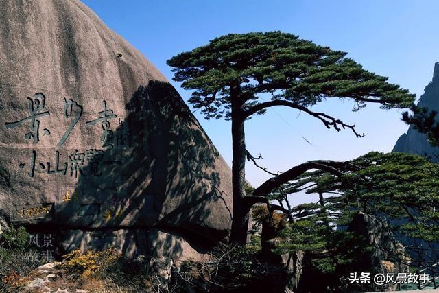 澳門四不像正版四不像網(wǎng)，探索真實與虛幻的交融之地，澳門四不像正版探索，真實與虛幻的交融世界