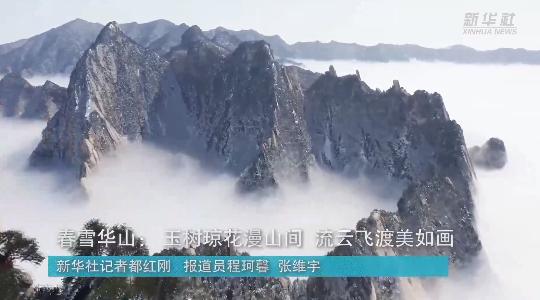 澳門最精準龍門，探索真正的精準之道，澳門最精準龍門，揭秘真正的精準之道