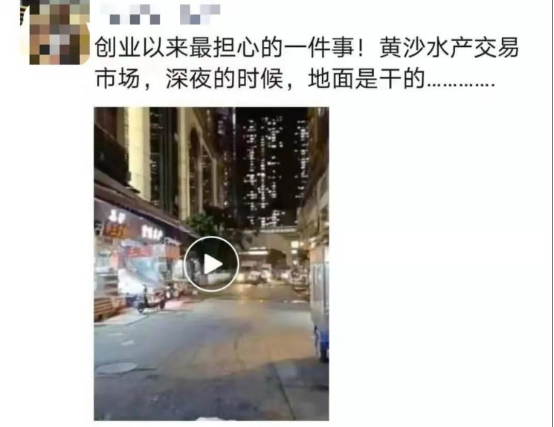 好料盡在王中王——揭秘生肖運勢的獨特魅力，揭秘生肖運勢獨特魅力，王中王好料大解密