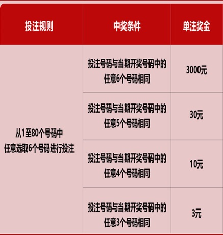 新澳門六開彩天天開獎結(jié)果，揭秘彩票背后的秘密，揭秘新澳門六開彩天天開獎背后的秘密