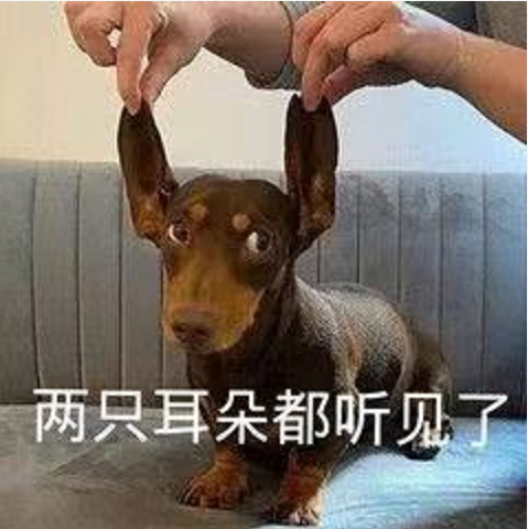 王中王四不象必中一肖，揭秘背后的秘密與策略，揭秘王中王四不象必中一肖背后的秘密與策略之道
