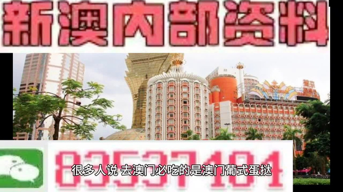新澳門三中三碼精準(zhǔn)預(yù)測，揭秘百分百準(zhǔn)確率的秘密，揭秘新澳門三中三碼精準(zhǔn)預(yù)測，百分百準(zhǔn)確率背后的秘密