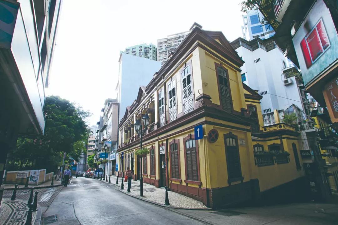 新澳門一肖單像——揭秘生肖彩票的奧秘，揭秘新澳門生肖彩票奧秘，一肖單像探秘