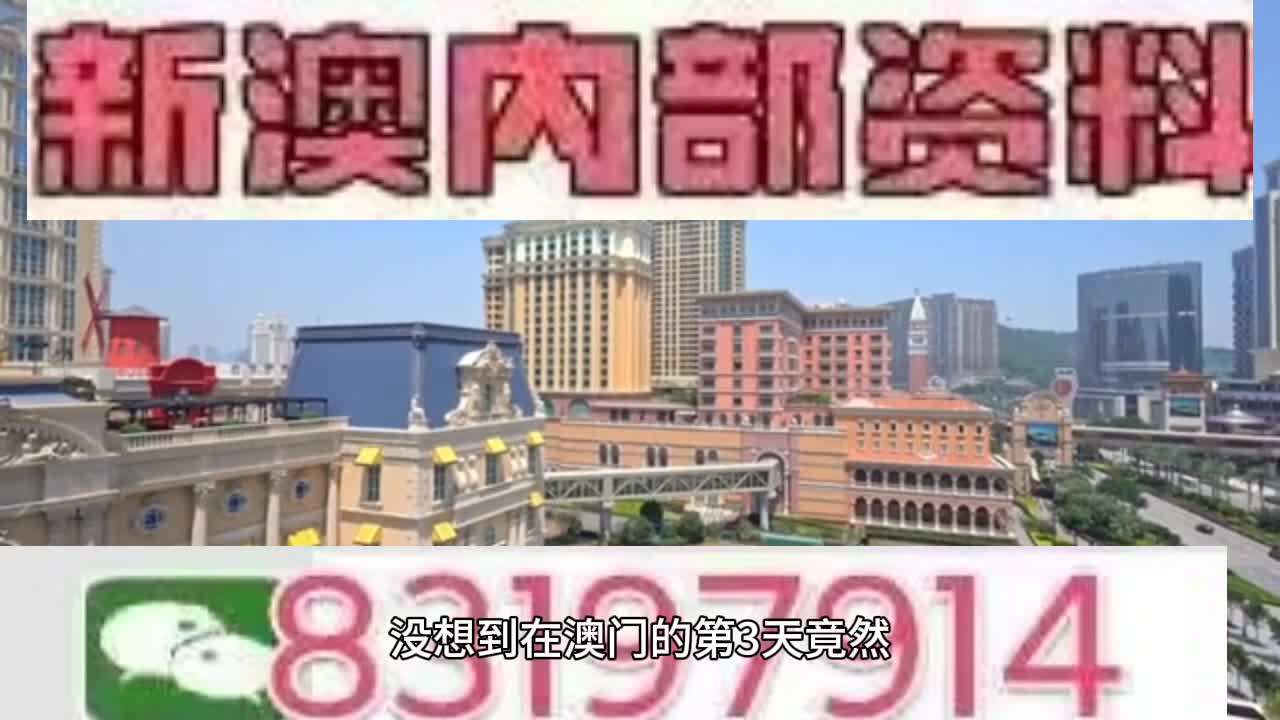新澳門今晚必開一肖一特，探索生肖與特碼的魅力，澳門生肖特碼探索，今晚必開一肖一特之魅力