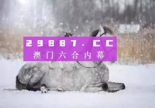 澳門正版精準(zhǔn)資料，探索未來的趨勢與機(jī)遇（2024年展望），澳門正版精準(zhǔn)資料揭秘，未來趨勢與機(jī)遇展望（2024年）