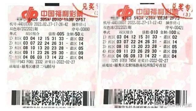 澳門六福彩的開獎結果與數(shù)據(jù)分析，探索彩票背后的秘密，澳門六福彩開獎結果與數(shù)據(jù)分析，揭秘彩票背后的秘密