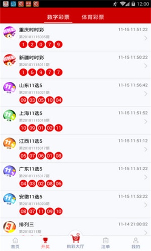 一碼一肖，揭秘背后的秘密與探索其獨特魅力，揭秘一碼一肖背后的秘密與獨特魅力探索