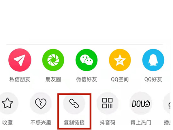 白小姐王中王中特一肖，神秘傳奇與SEO探索，神秘傳奇與SEO探索，白小姐王中王中特一肖的奧秘