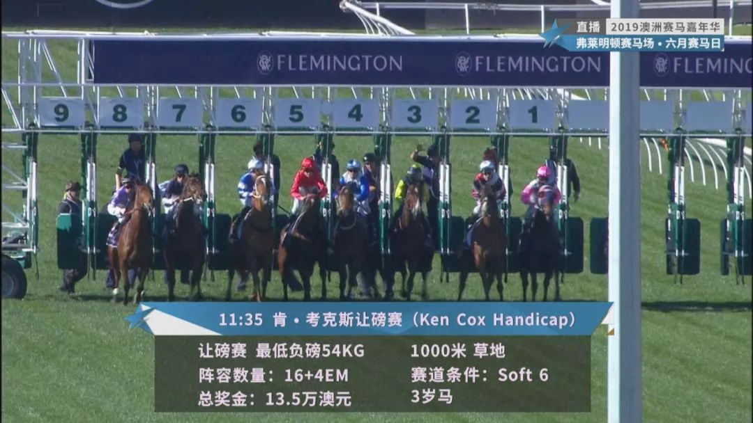 賽馬澳門六月開獎結(jié)果，探索與期待，澳門六月賽馬開獎揭曉，探索結(jié)果引期待