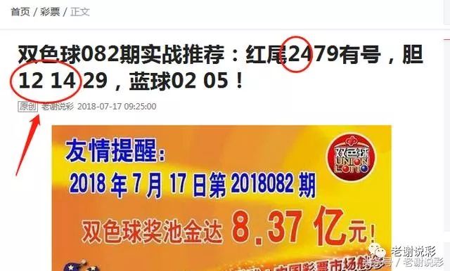 王中王082期指一生肖——探尋生肖魅力，洞悉運勢奧秘，探尋生肖魅力，揭秘運勢奧秘——王中王生肖運勢解析 082期