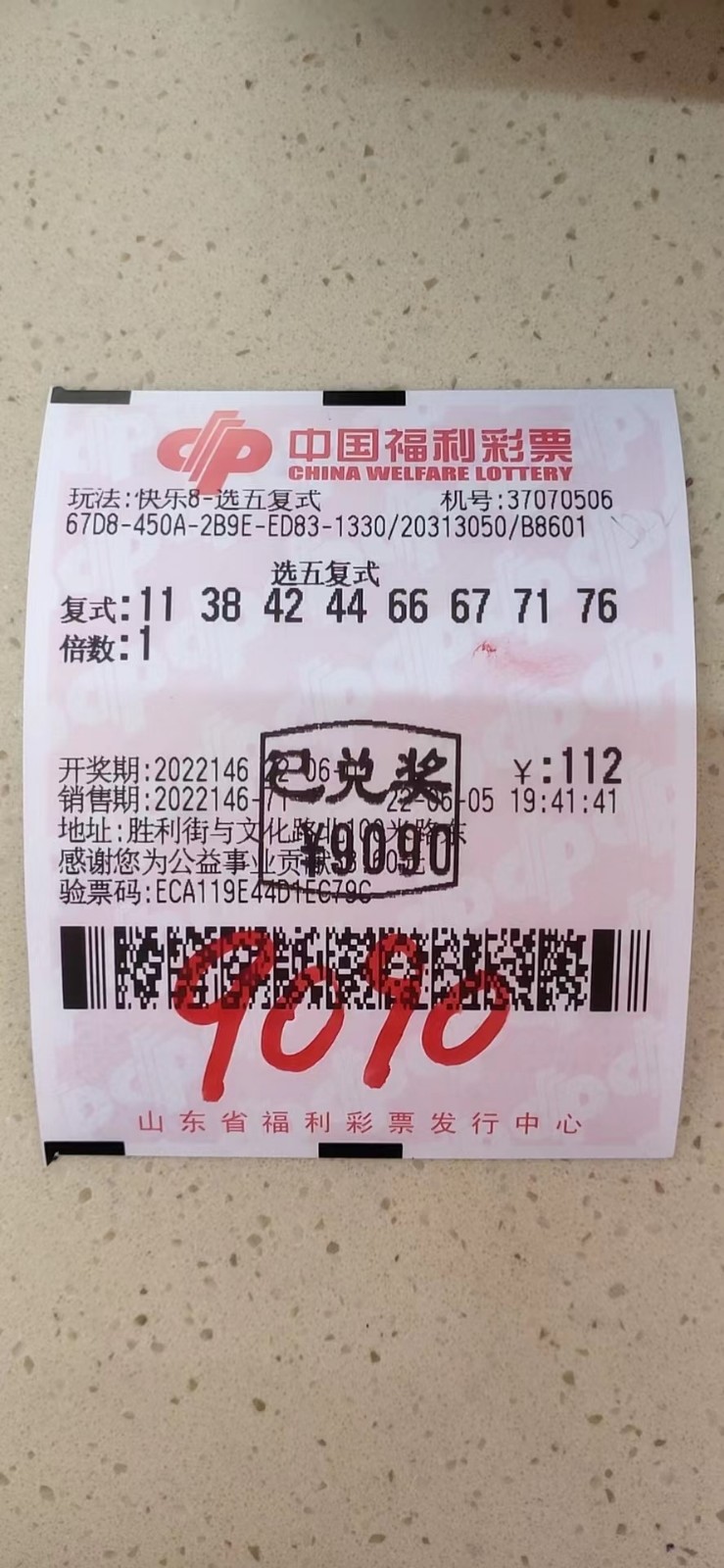 揭秘002期王中王平特一肖，背后的故事與奧秘，揭秘王中王平特一肖背后的故事與奧秘（第002期）