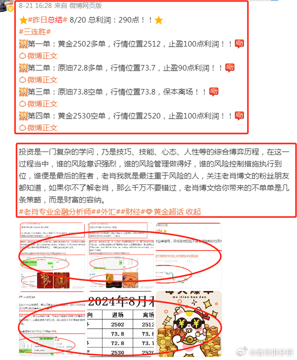 王中王富婆中一肖——揭秘背后的故事與真相，揭秘王中王富婆中一肖背后的真相與故事