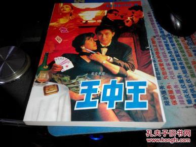 王中王資料一肖中特小說，深度解析與探索，王中王資料一肖中特小說的深度解析與探索之旅