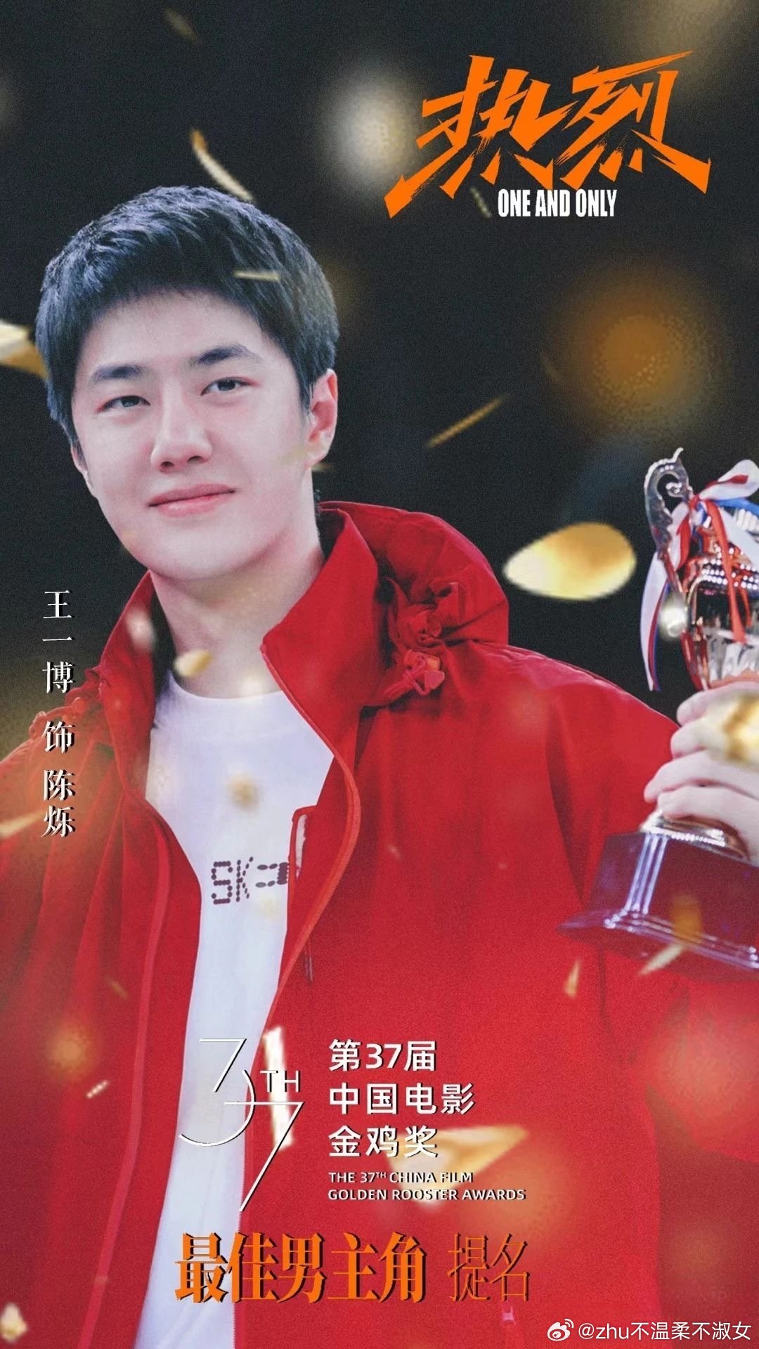 王中王一肖一特一中一中，探尋背后的故事與奧秘，探尋王中王一肖背后的故事與奧秘