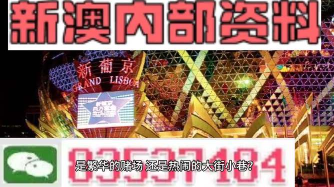 新澳門精準(zhǔn)資料大全管家婆料，探索與解析，澳門精準(zhǔn)資料大全解析，探索管家婆料內(nèi)幕