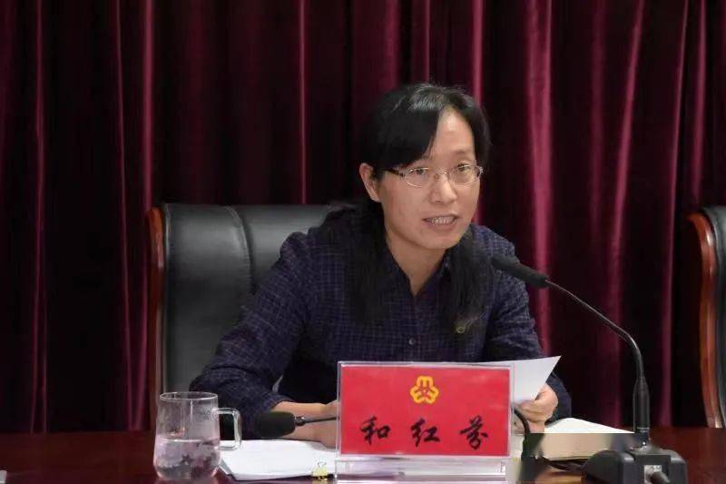 二四六香港期期中的資料解析與SEO優(yōu)化策略，香港期期二四六資料解析與SEO優(yōu)化策略探討