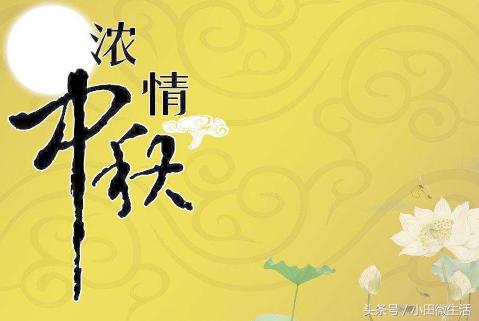 天天開好彩免費(fèi)資料大全——你不可錯過的幸運(yùn)之門，天天開好彩免費(fèi)資料大全——開啟幸運(yùn)之門的必備指南