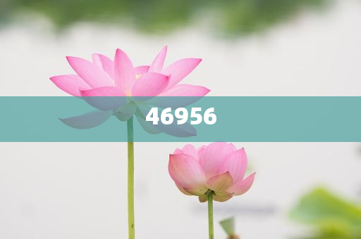 新奧集團(tuán)，邁向2025，天天開好彩的愿景與挑戰(zhàn)，新奧集團(tuán)邁向2025，實(shí)現(xiàn)天天開好彩的愿景與挑戰(zhàn)