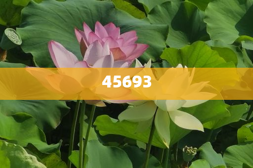 全新升級，7777888888精準新管家，全新升級管家，精準管理，一站式服務 7777888888新管家重磅來襲