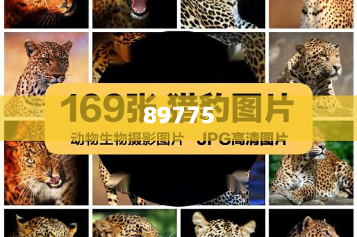 關(guān)于新奧歷史開獎記錄的最新信息，今天公布了嗎？，新奧歷史開獎記錄最新信息公布了嗎？