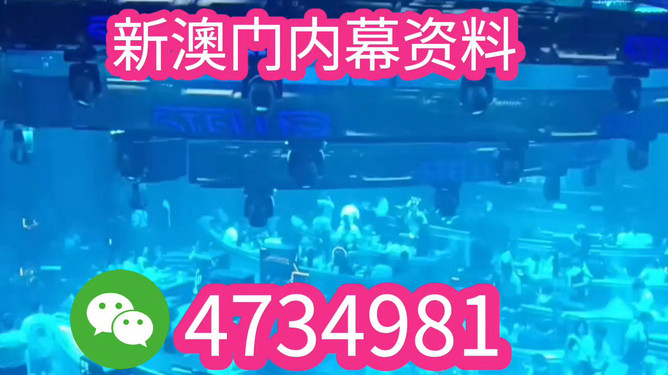 新澳門2025，探索與未來(lái)的展望，新澳門2025，探索未來(lái)，展望發(fā)展