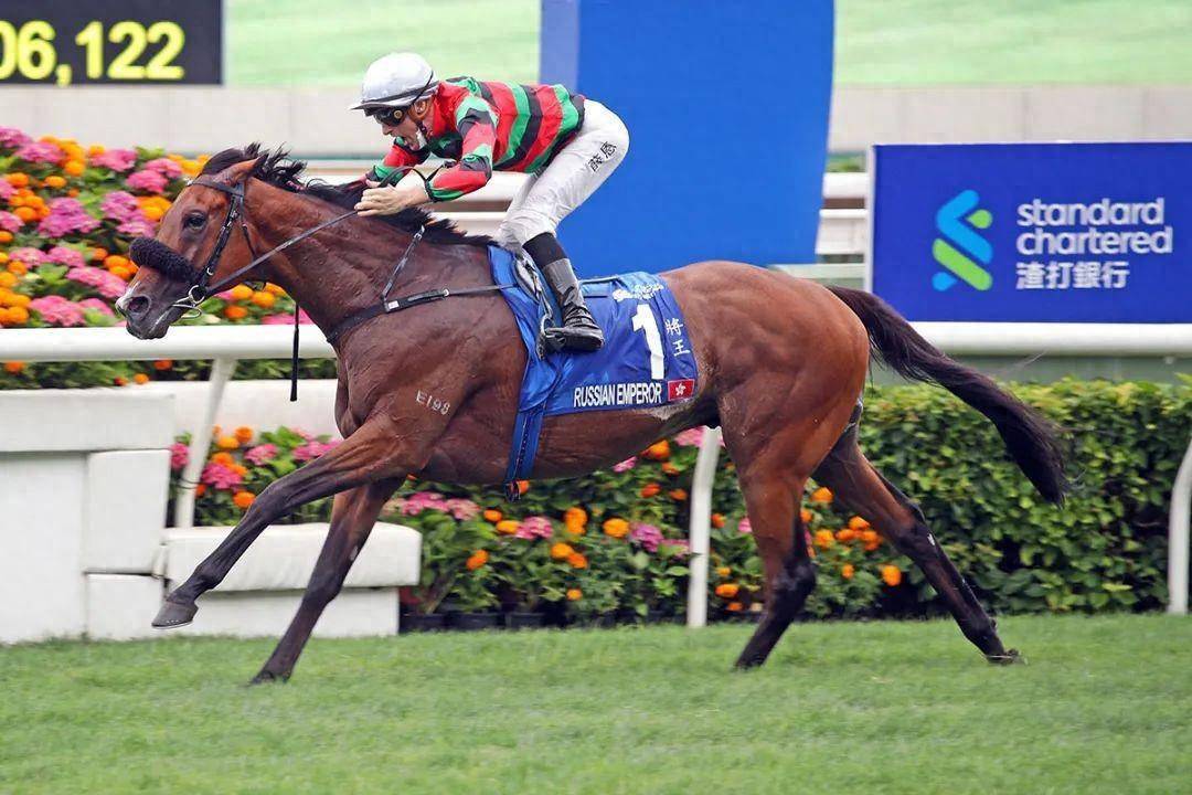香港馬賽事，探索數(shù)字背后的激情與榮耀 7777788888，香港馬賽事，數(shù)字背后的激情與榮耀