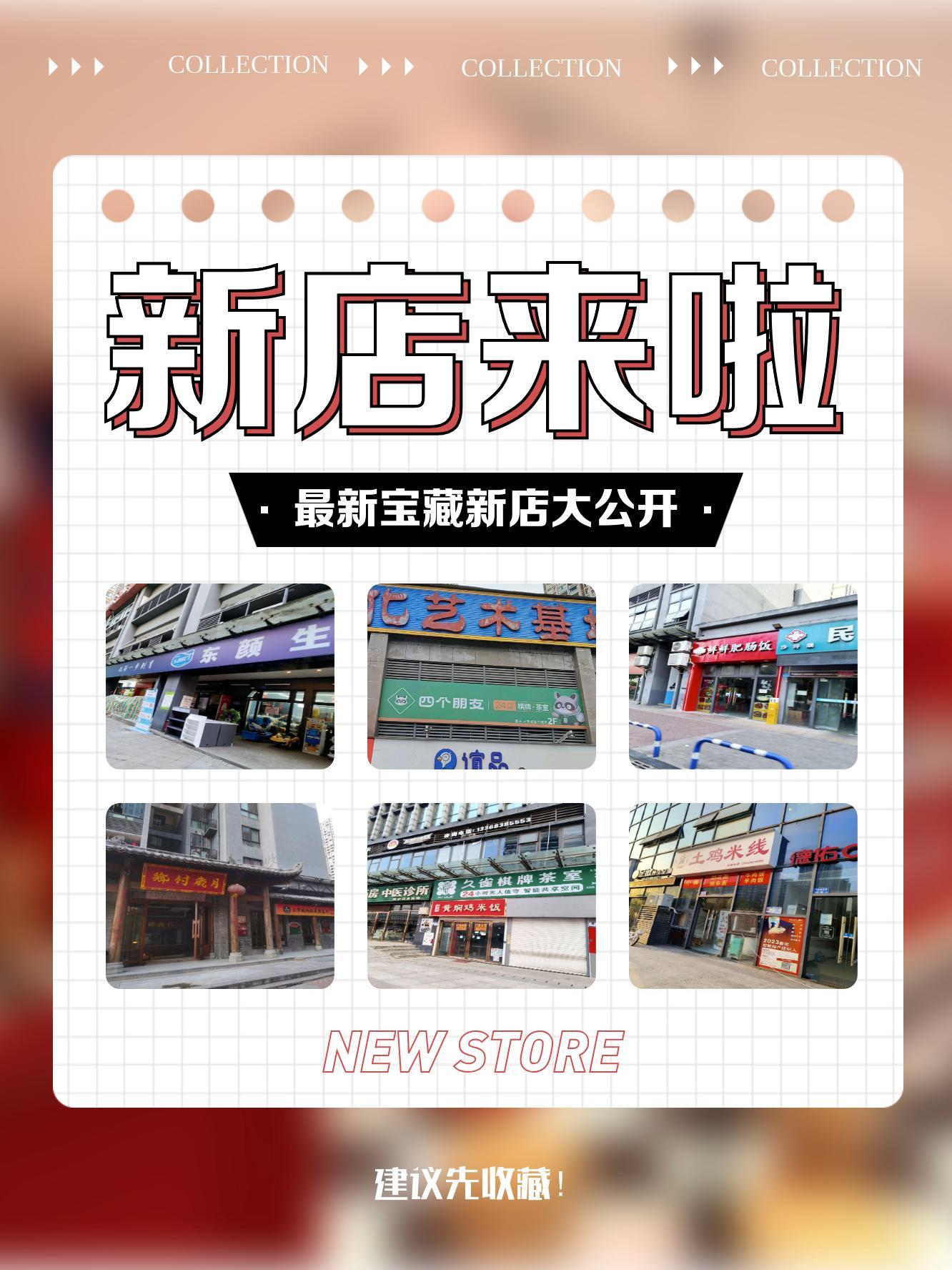 新澳特馬