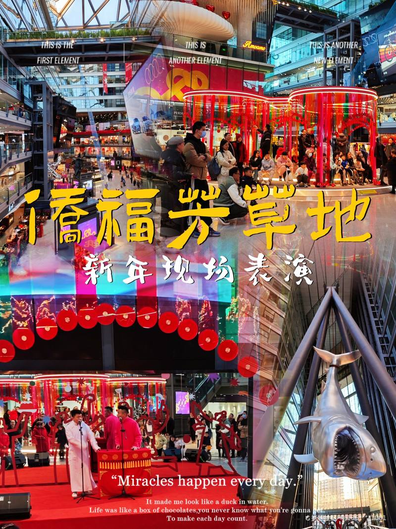 最新揭秘，2024新澳芳草地全方位資料詳解，揭秘2024新澳芳草地全方位資料，最新詳解