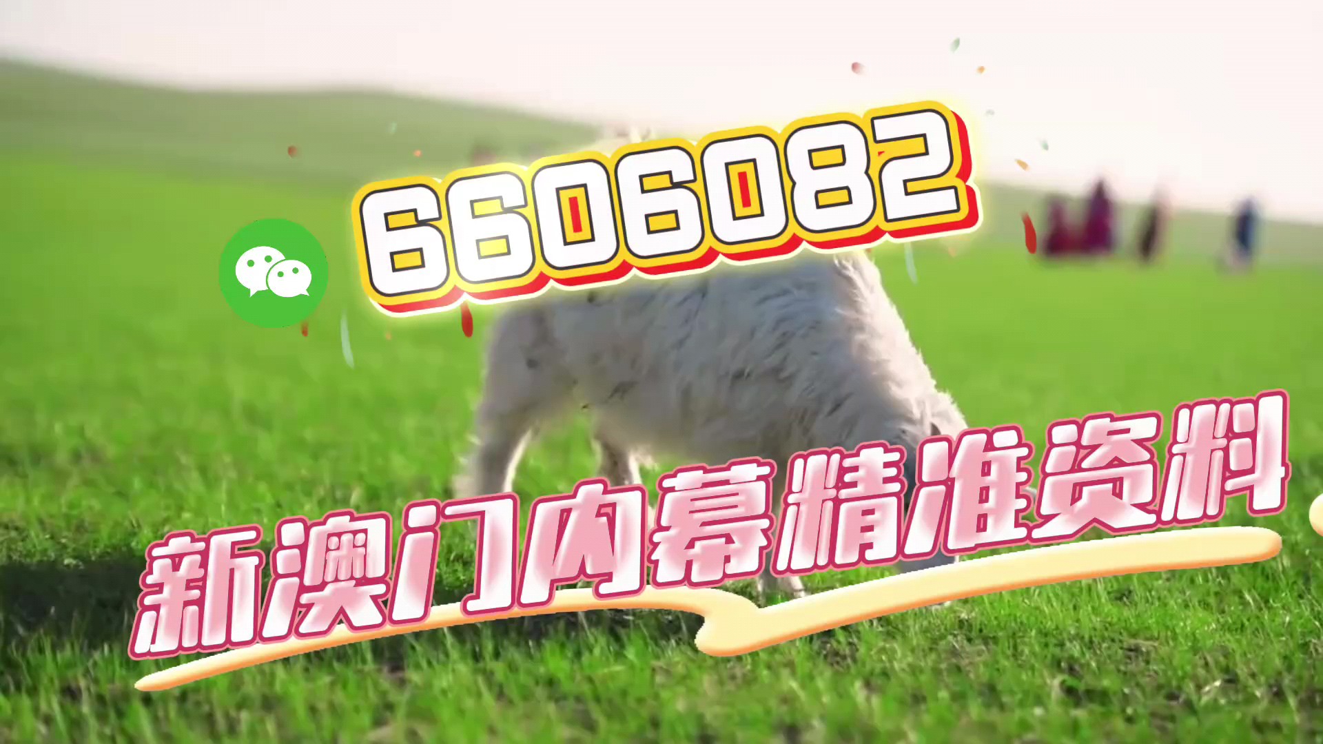 澳門今晚必開一肖一特，揭秘生肖彩票的魅力與預(yù)測技巧，澳門生肖彩票預(yù)測揭秘，一肖一特魅力與預(yù)測技巧探討