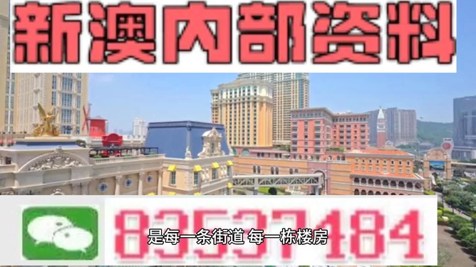 新澳門最精準(zhǔn)正最精準(zhǔn)龍門——探索澳門的魅力與機(jī)遇，澳門魅力與機(jī)遇探索，新澳門最精準(zhǔn)龍門